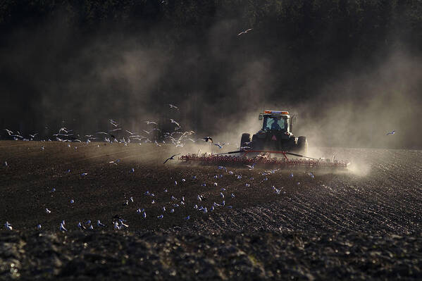 Tractor Poster featuring the photograph Farmer On The Field by Allan Wallberg