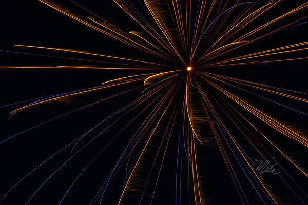 Fireworks Poster featuring the photograph Fireworks Sputnik by Meta Gatschenberger