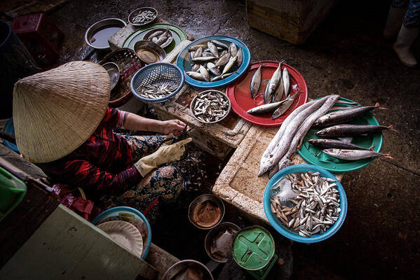 Vietnam
Hoi An
Street
Market
Fish
Local
Asia
Culture
Life
Food Poster featuring the photograph Fisherwoman by Richard Coulstock