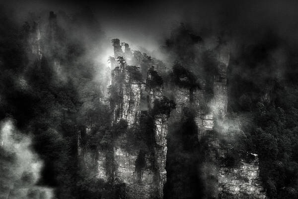 Fog Poster featuring the photograph Fog by Olavo Azevedo