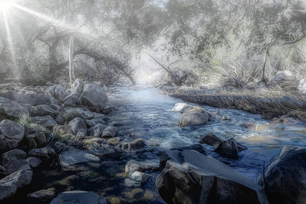 Creek Poster featuring the photograph Foggy Creek 2 by Alison Frank