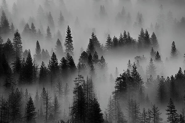 Black And White Poster featuring the photograph Foggy Yosemite II by Jon Glaser
