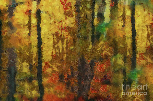 Forest Poster featuring the photograph Forest Colours by Elaine Manley