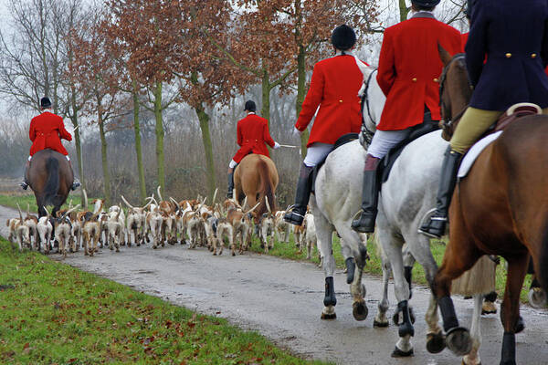 Horse Poster featuring the photograph Fox Hunt 1 by Lya cattel