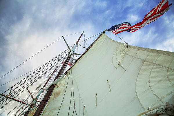 Flag Poster featuring the photograph Freedom 2 by Bryan Williams