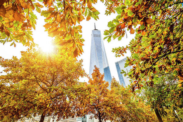 Estock Poster featuring the digital art Freedom Tower & Trees In Autumn by Antonino Bartuccio