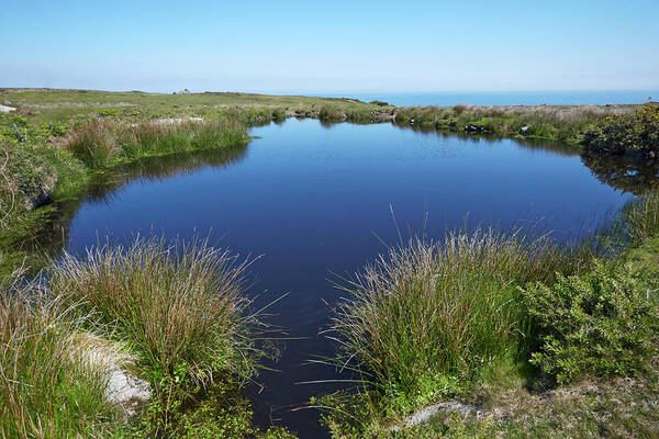 Standing Water Poster featuring the photograph Freshwater Pool On Lundy Island by Allan Baxter