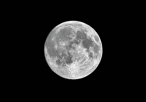 Outdoors Poster featuring the photograph Full Moon by Richard Newstead