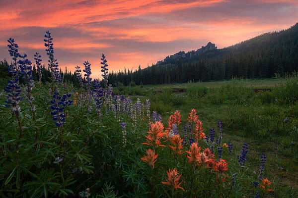 Wildflowers Poster featuring the photograph Garden Of Colorado by Mei Xu