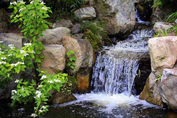 Water Poster featuring the photograph Garden Waterfall by Cynthia Guinn