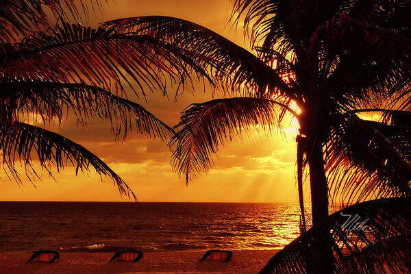 Lighthouse Cove Resort Poster featuring the photograph Golden Sunrise by Meta Gatschenberger