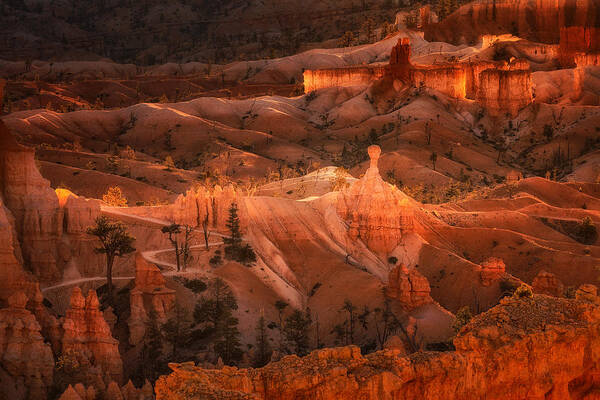  Poster featuring the photograph Good Morning, Bryce Canyon by Leechee