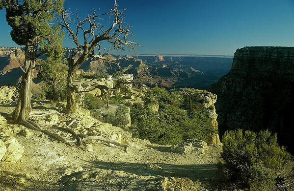Grand Canyon Poster featuring the photograph Grand Canyon 06 by Gordon Semmens