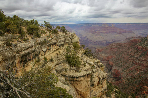 Grand Canyon Poster featuring the photograph Grand Canyon National Park by Laura Smith