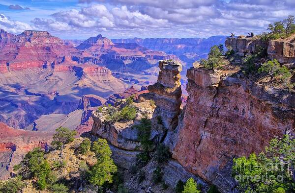Grand Canyon Poster featuring the photograph Grand Canyon Overlook by Alex Morales