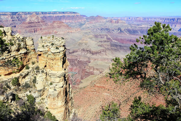 Arizona Poster featuring the photograph Grand Canyon View 1 by Dawn Richards