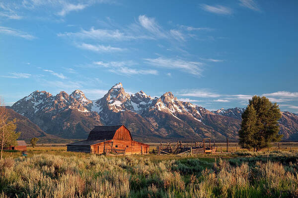Scenics Poster featuring the photograph Grand Tetons Barn by Keithszafranski