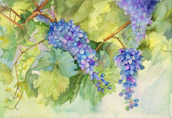 Grapes Poster featuring the painting Grape Vineyard by Joanne Porter