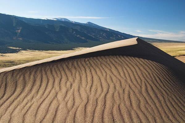 Tranquility Poster featuring the photograph Great Dunes National Park by Daniel Cummins