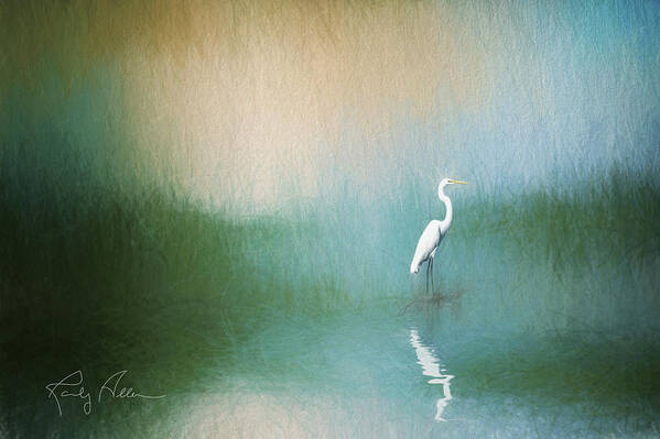 Great Egret Poster featuring the photograph Great Egret by Randall Allen