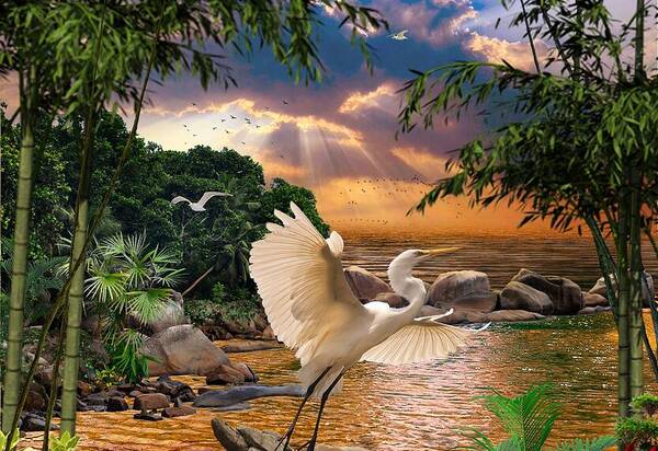 Monty Wright Poster featuring the digital art Great White Heron by Monty Wright
