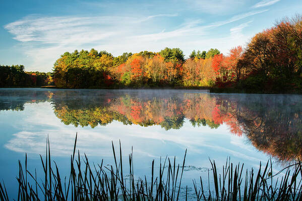 Grist Millpond Poster featuring the photograph Grist Millpond by Michael Blanchette Photography