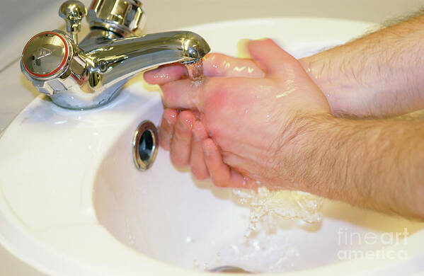 Person Poster featuring the photograph Hand Washing by Uk Crown Copyright Courtesy Of Fera/science Photo Library