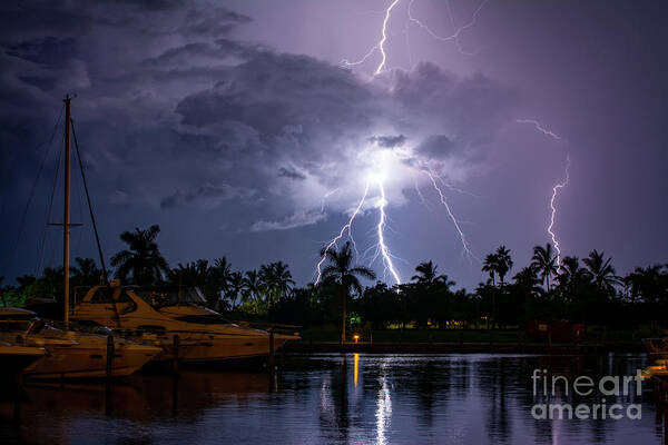 Lightning Poster featuring the photograph Harbour Nights by Quinn Sedam