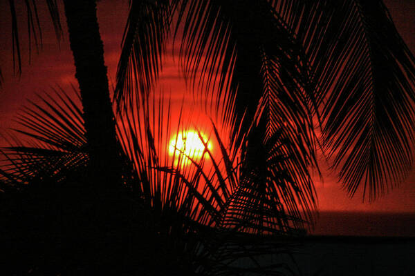 Sunset Poster featuring the photograph Hawaii Sunset by Natural Vista Photo - Matt Sexton