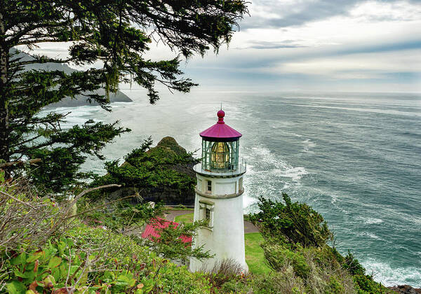Lighthouse Poster featuring the photograph Heceta Head 2018 Lighthouse 2 by Lara Ellis