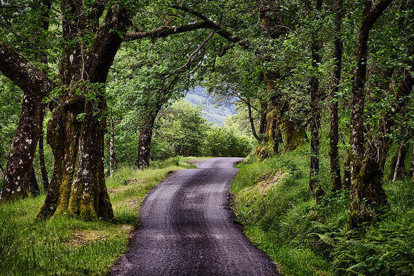 Scotland Poster featuring the photograph Highland Road - Scotland by Stuart Litoff