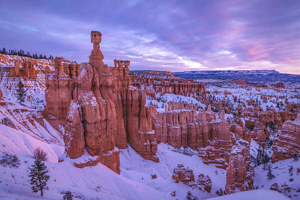 Rock Formation Poster featuring the photograph Hoodoos In Bryce Canyon by Joy Pingwei Pan