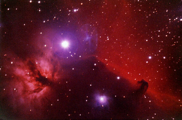 Galaxy Poster featuring the photograph Horsehead Nebula In The Belt Of Orion by A. V. Ley