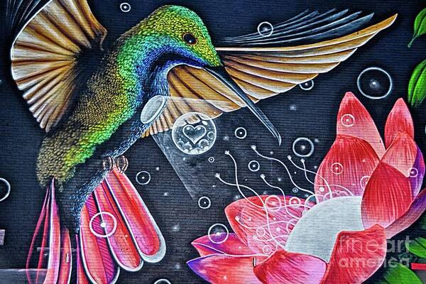 Humming Bird Poster featuring the photograph Hum Dinger by Ken Williams