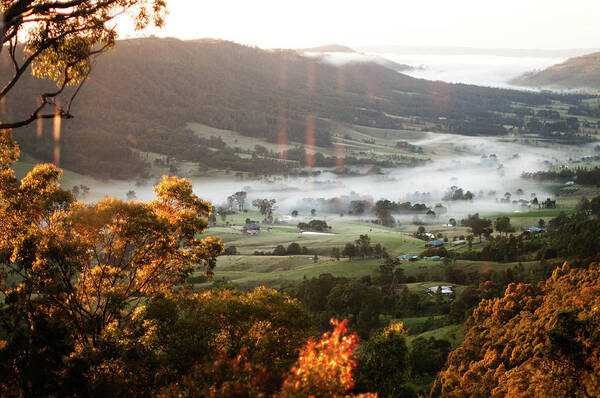 Scenics Poster featuring the photograph Hunter Valley At Sunrise by Lyn Walkerden Photography
