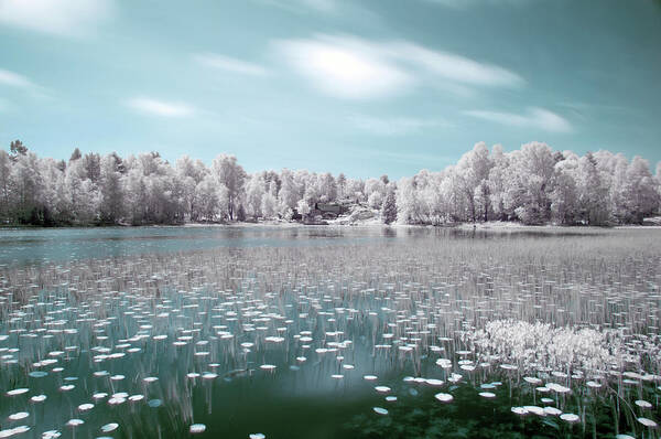 Infrared Poster featuring the photograph Ice Cold Summer by David Johansson