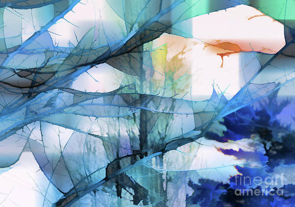 Abstract Poster featuring the photograph Into The Mystic by Robyn King