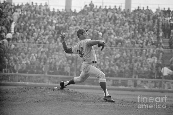 Sandy Koufax Poster featuring the photograph Koufax Throwing The Pitch by Bettmann
