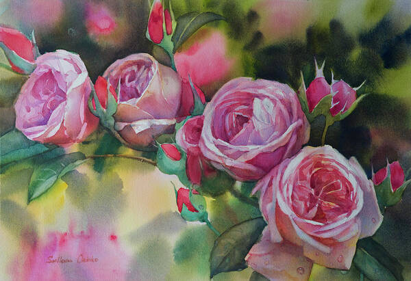 La Vie En Rose. Roses Poster featuring the painting La Vie En Rose by Svetlana Orinko