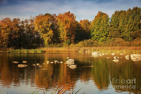 Sweden Poster featuring the photograph Lake at autumn by Sophie McAulay