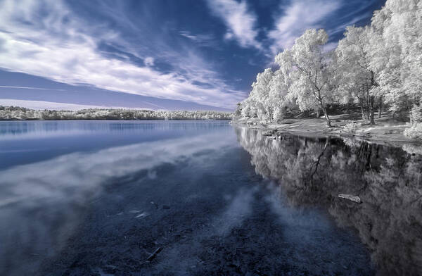 Infrared Poster featuring the photograph Lake by Istvan Lichner
