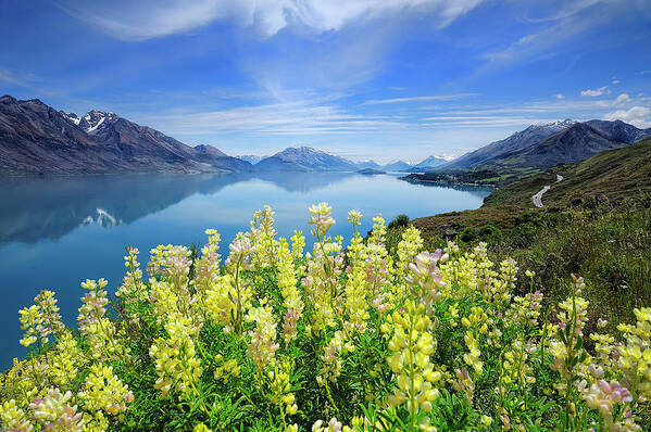 Tranquility Poster featuring the photograph Lake Wakatipu by Thienthongthai Worachat
