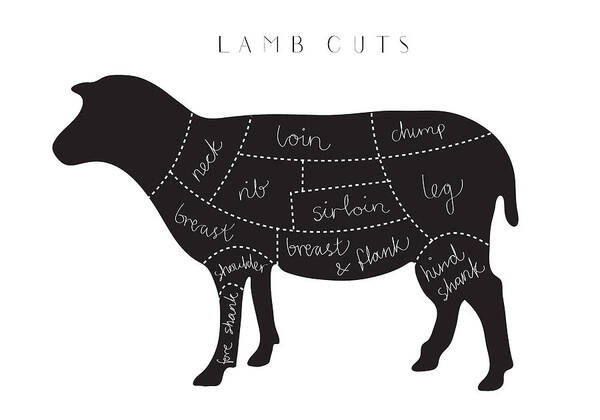 Lamb Poster featuring the photograph Lamb Cuts by 1x Studio Ii