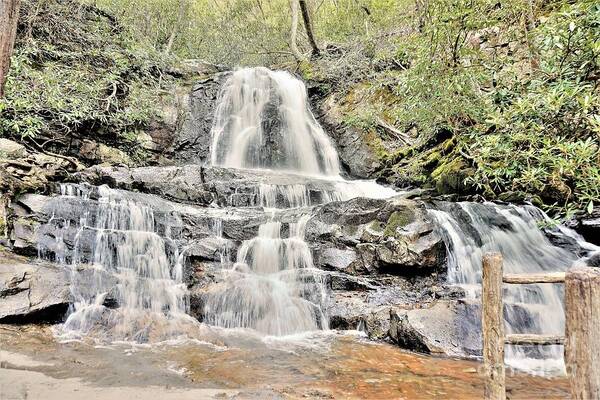 Waterfalls Poster featuring the photograph Laurel Falls by Merle Grenz