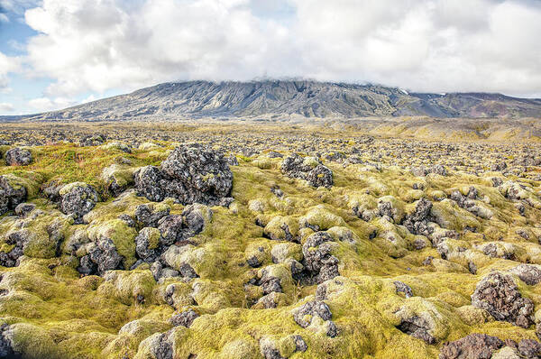 David Letts Poster featuring the photograph Lava Fields of Iceland by David Letts
