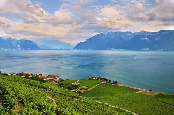 Lavaux Poster featuring the photograph Lavaux vineyards. Leman Lake. Alps. Switzerland by Guido Montanes Castillo