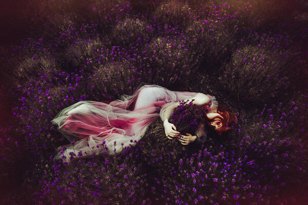 Laying Poster featuring the photograph Lavender Dream by Ruslan Bolgov (axe)