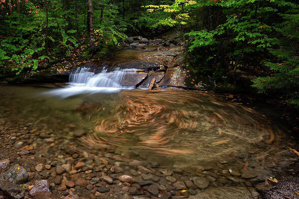Swirl Poster featuring the photograph Leaf Swirl at a Small Cascade in Franconia Notch State Park II by William Dickman