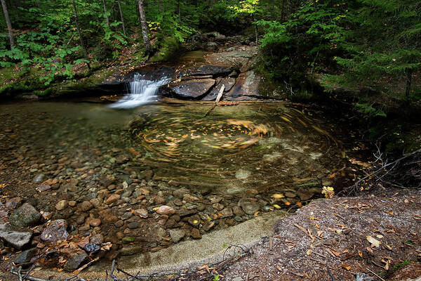 Swirl Poster featuring the photograph Leaf Swirl at a Small Cascade in Franconia Notch State Park by William Dickman