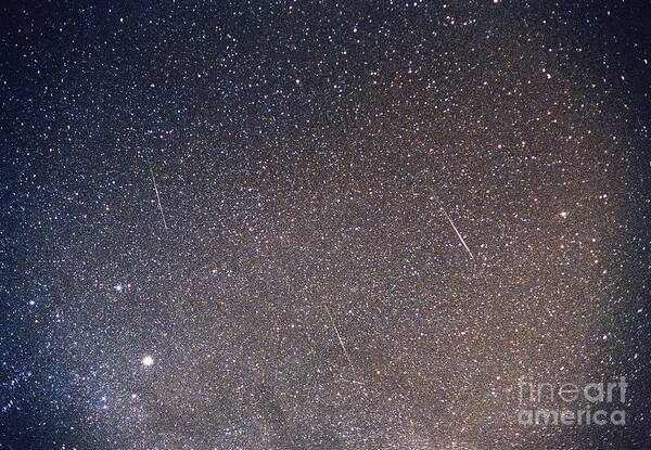 Leonids Poster featuring the photograph Leonid Meteor Shower by Dan Schechter/science Photo Library